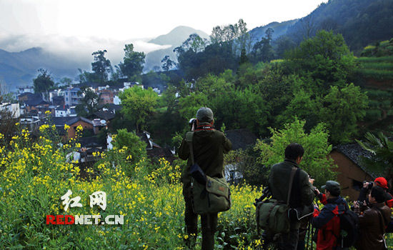 安化县摄影家协会组织会员到黄山婺源创作采风(图)